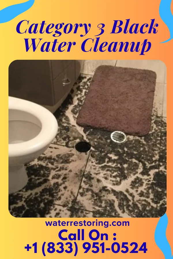 Category 3 Black Water Cleanup in Galeton, PA