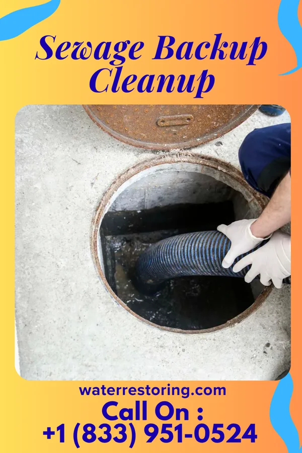 Sewage Backup Cleanup in Galeton, PA