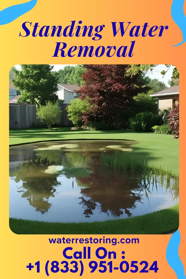 Standing Water Removal in Galeton, PA